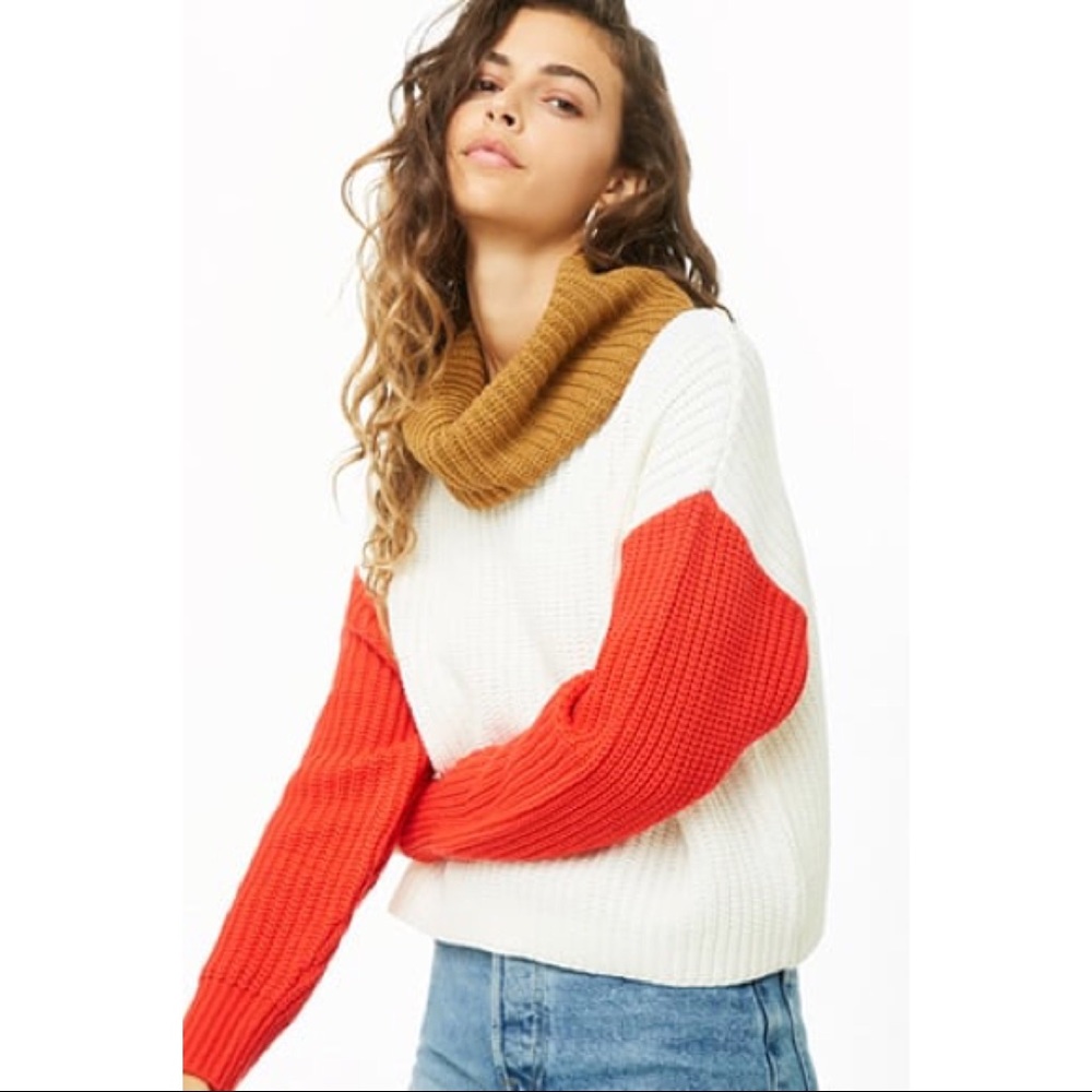 Color block Turtleneck Sweater